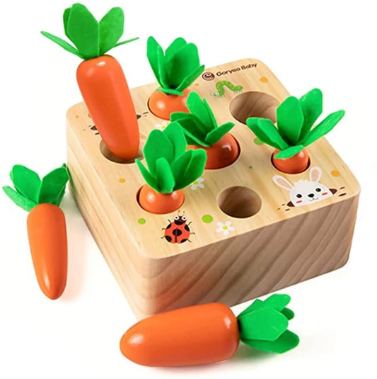 Cube Carotte